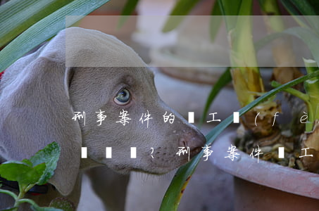 刑事案件的誤工費(fèi)一般賠多少？(刑事案件誤工費(fèi)怎么算)